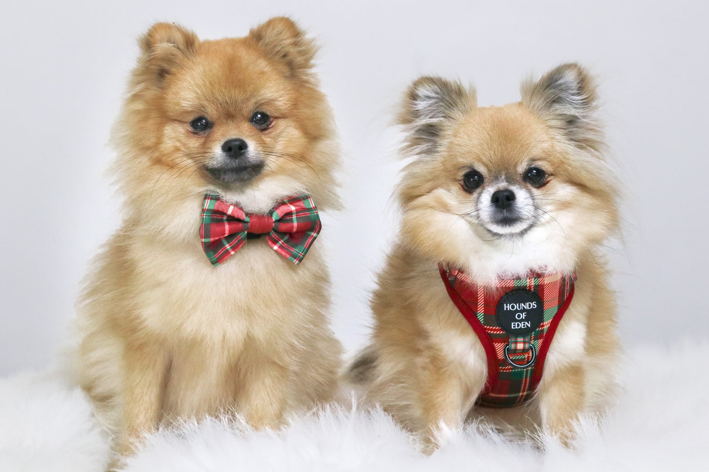 Tartan Me Up - Red & Cream Tartan Design Dog Harness - The Bark Market