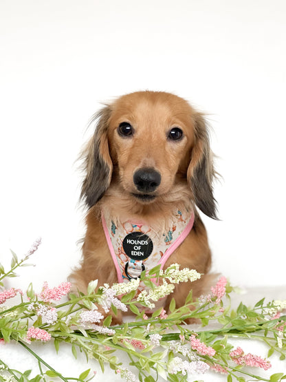 Bunny Tales - Pink, Dog Harness (XXS-XS) - The Bark Market