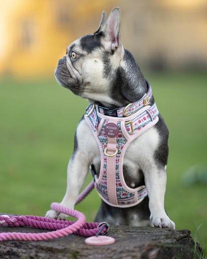 Bella's Jumper Supaw Strong Lite™ Dog Harness (XS-XL) - The Bark Market