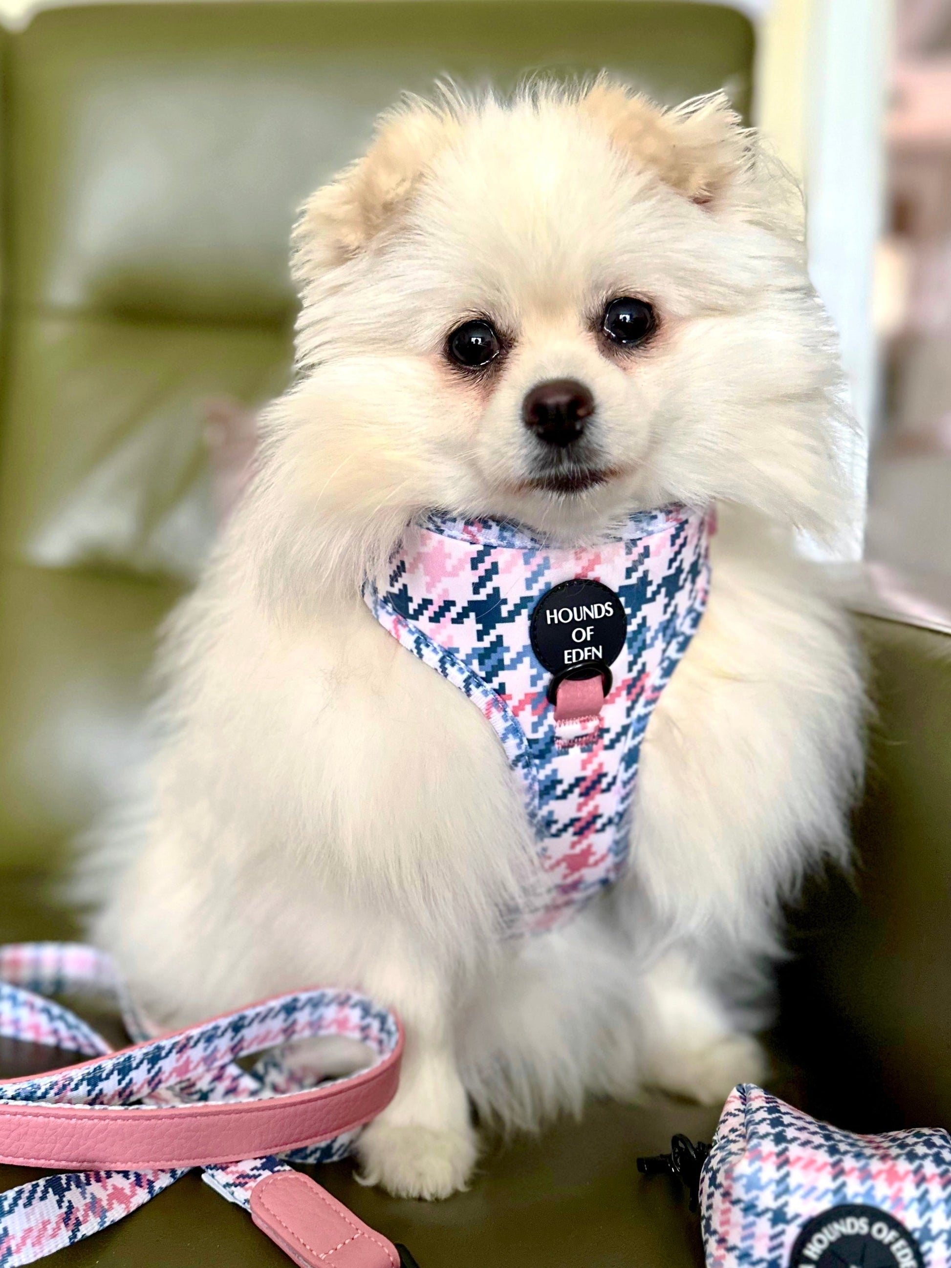 Pink Houndstooth Dog Harness (XXS-XS) - The Bark Market