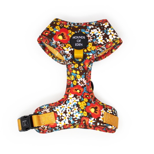 Retro Bloom Dog Harness (XXS & XS) - The Bark Market