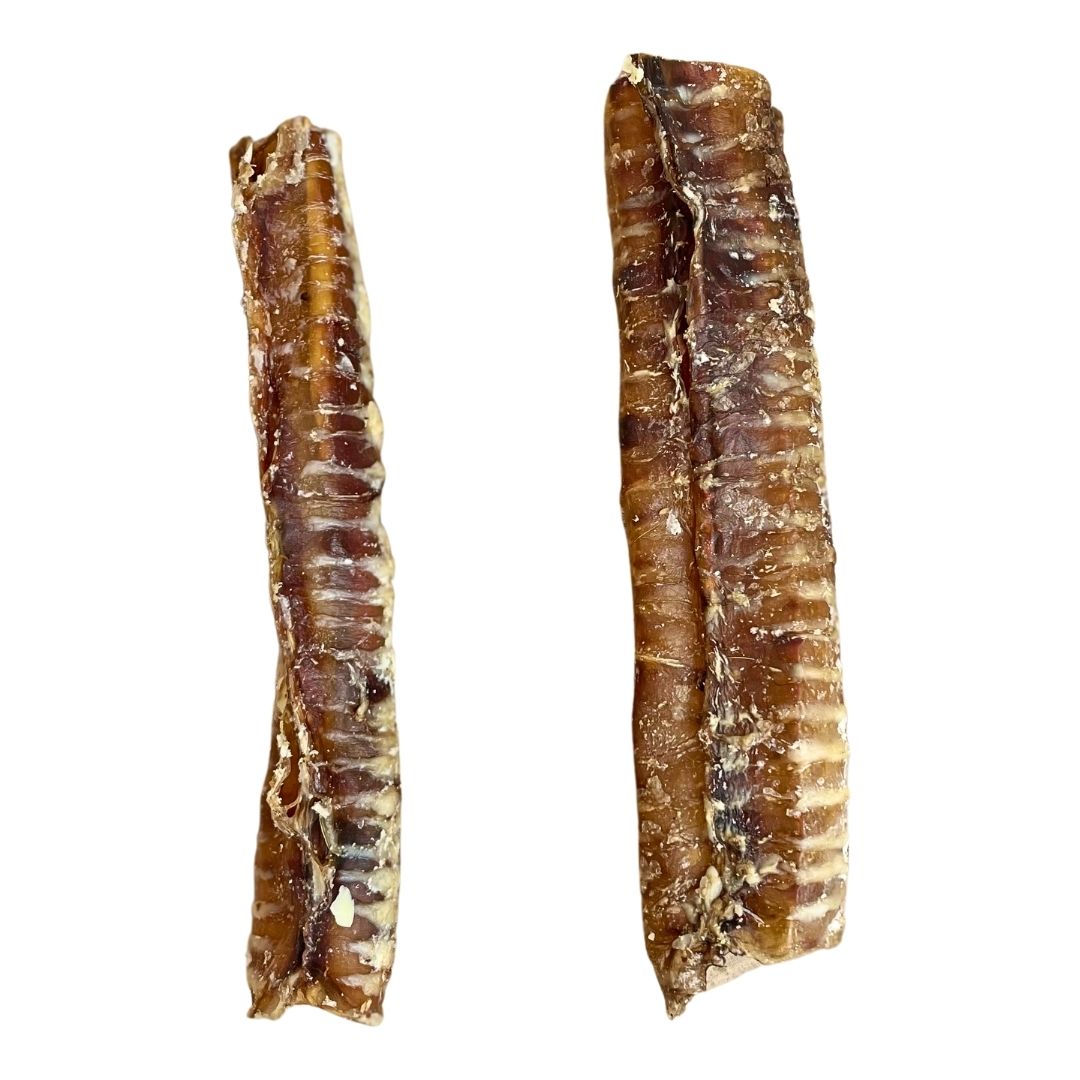 Beef Trachea 24cm Natural Dog Treat - The Bark Market
