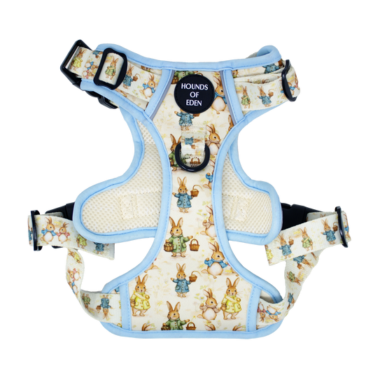 Bunny Tales - Blue, Dog Supaw Strong™ Lite Harness (XS-XL) - The Bark Market