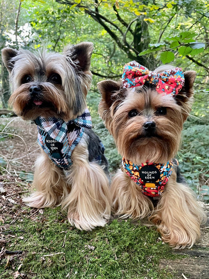 Retro Bloom Leather Dog Collar - The Bark Market