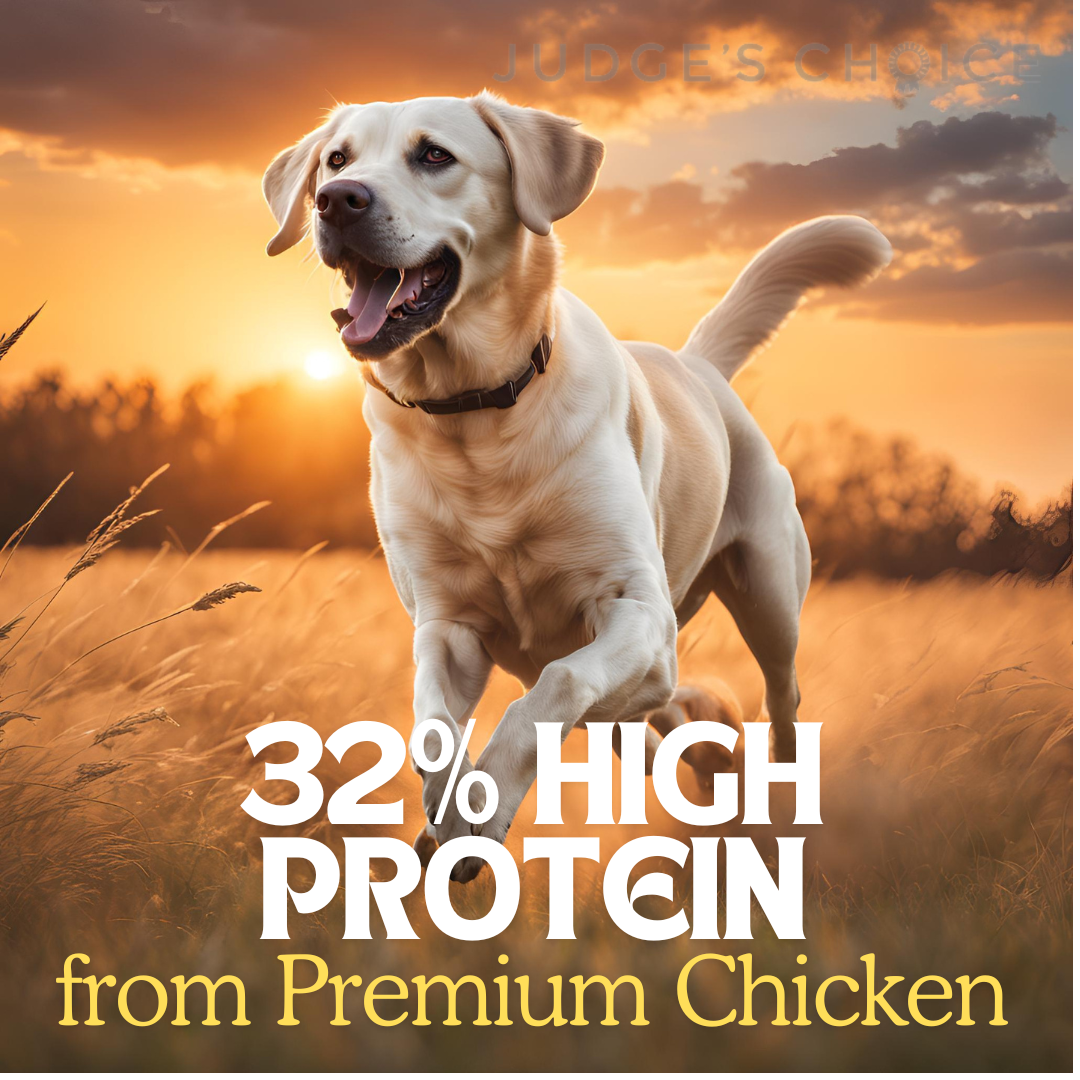 Country Pursuit Cold Pressed Chicken & Sweet Potato - 10kg