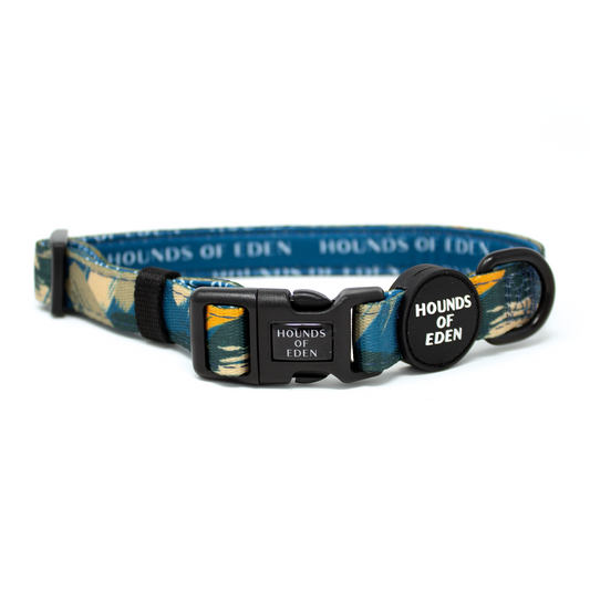 'Brush it Off' - Olive, Blue & Orange Camo Pattern Dog Collar - The Bark Market
