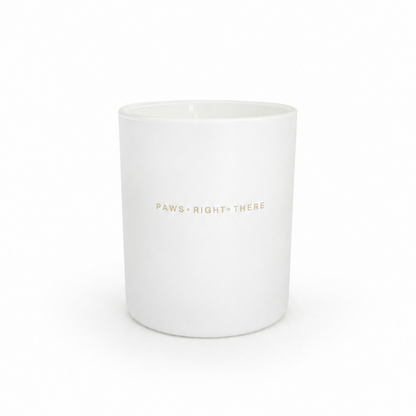 “Lets get Fizzical”  - Clean Burn Essential Oil Candle