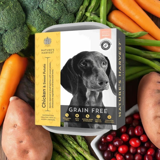 Nature's Harvest Grain Free Adult - Chicken & Sweet Potato - The Bark Market