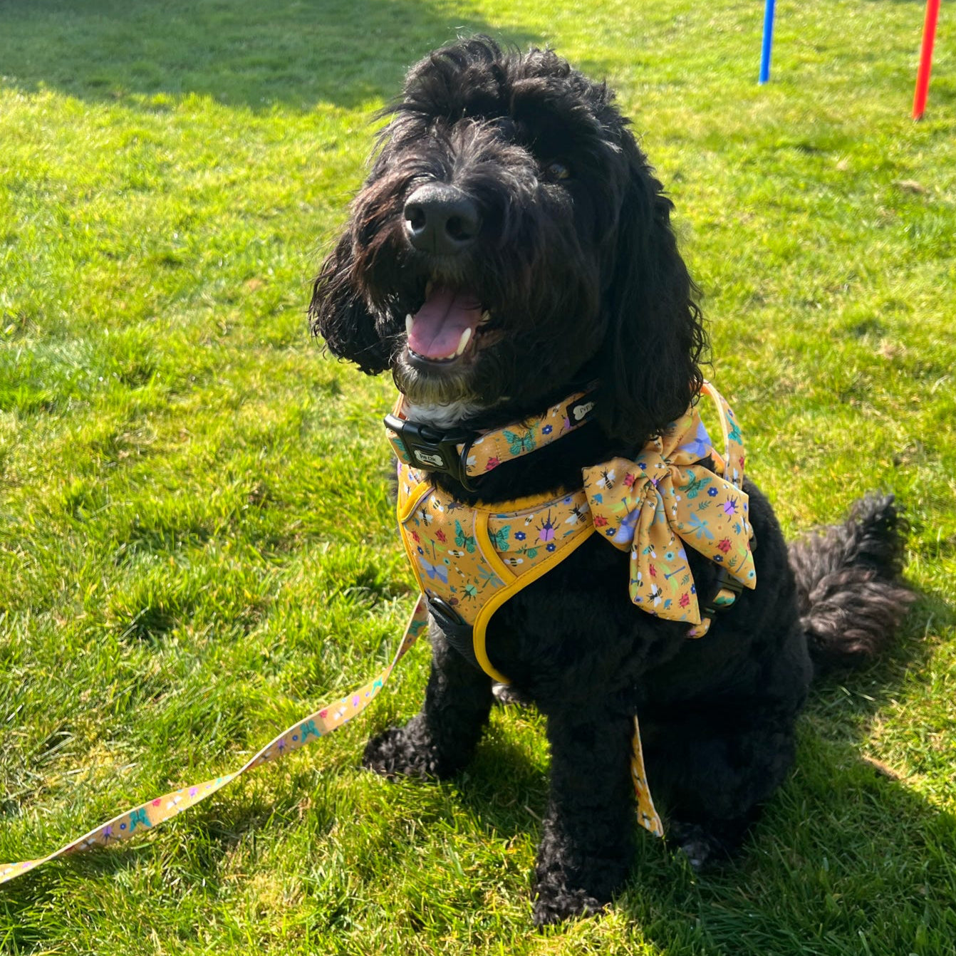 Summer Buzzin’ Sailor bow - The Bark Market