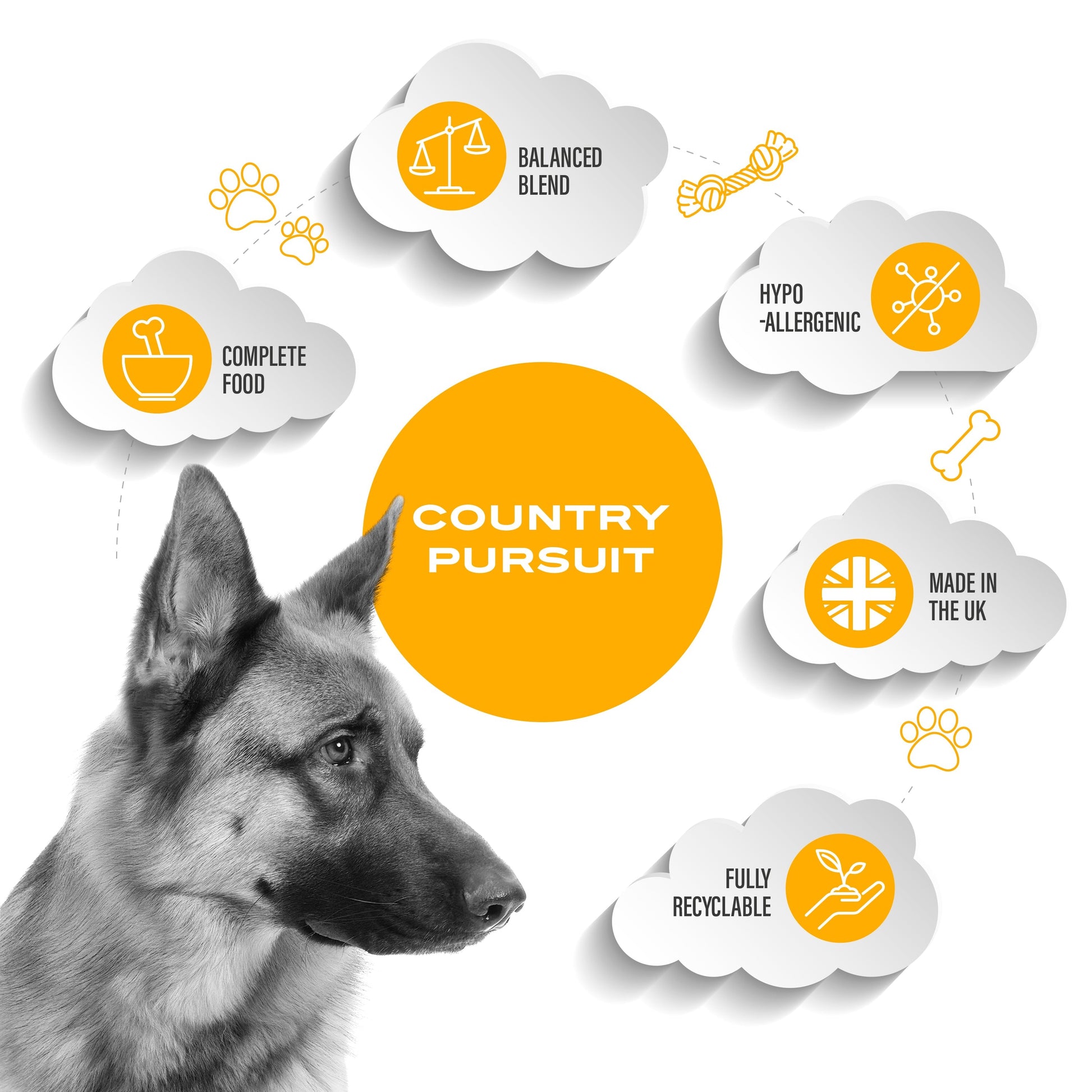 Premium Chicken & Rice Adult Dry Dog Food - The Bark Market
