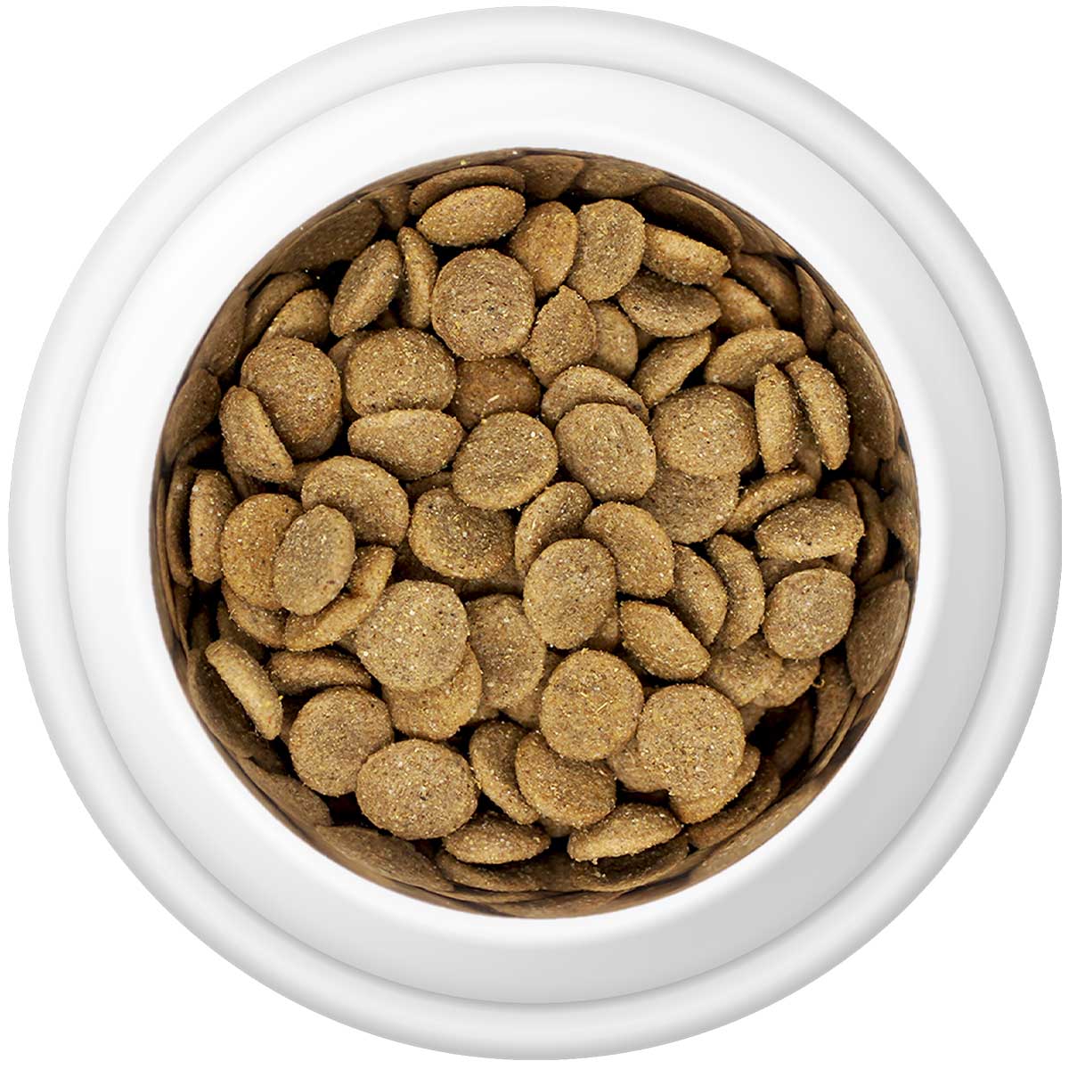 Premium Chicken & Rice Adult Dry Dog Food - The Bark Market
