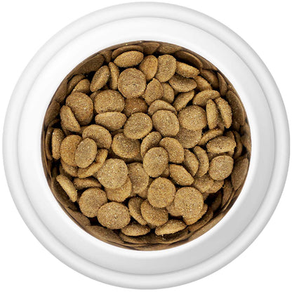 Premium Chicken & Rice Adult Dry Dog Food - The Bark Market