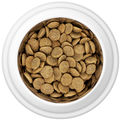 Country Pursuit Lamb, Rice & Tripe - Premium Range - The Bark Market