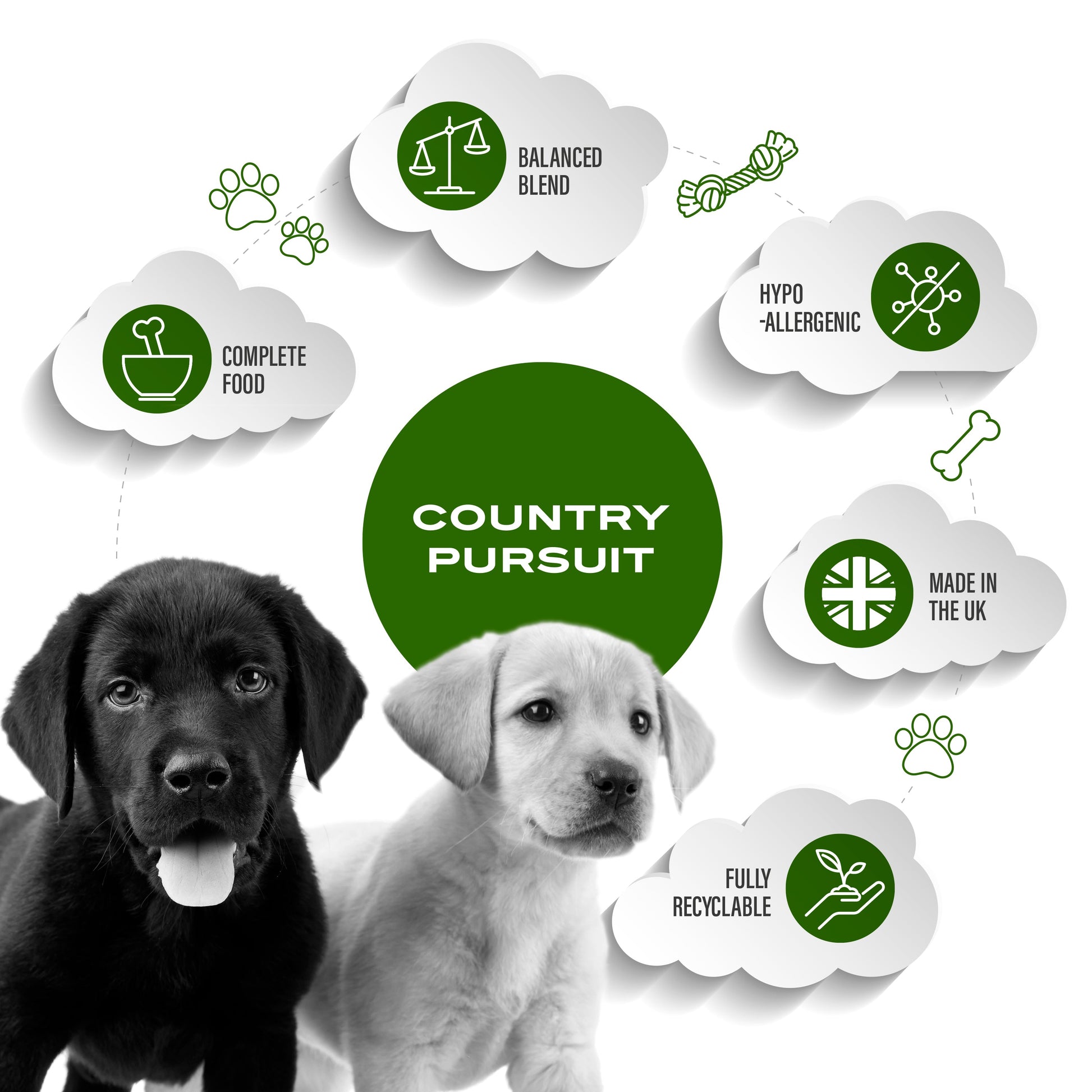 Premium Puppy Dry Dog Food - The Bark Market