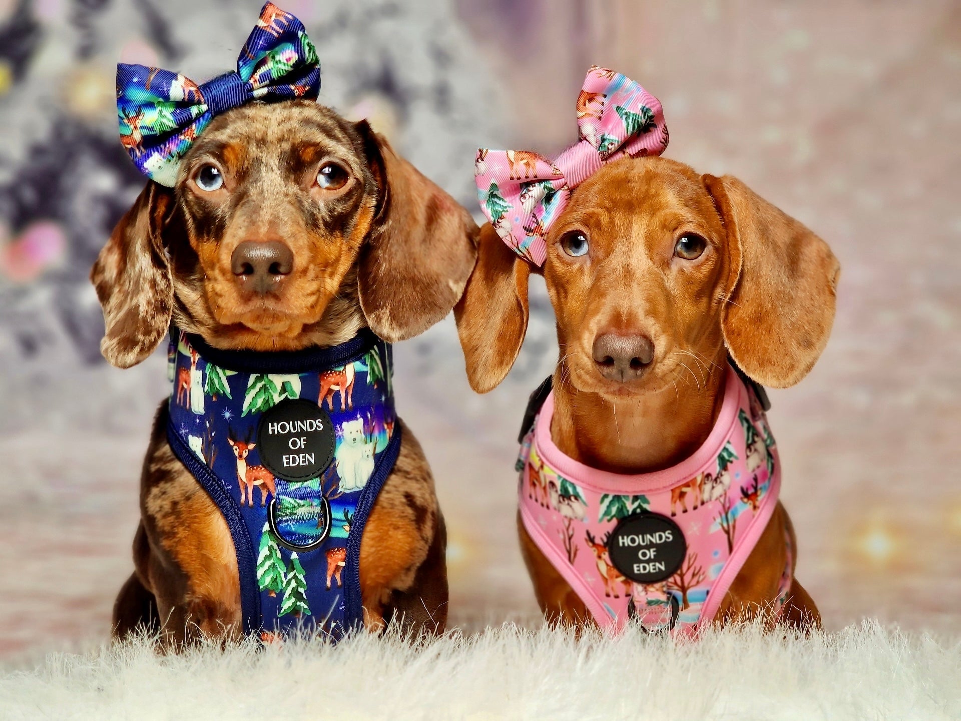 Aurora Nights - Pink Penguin Design Dog Harness - The Bark Market