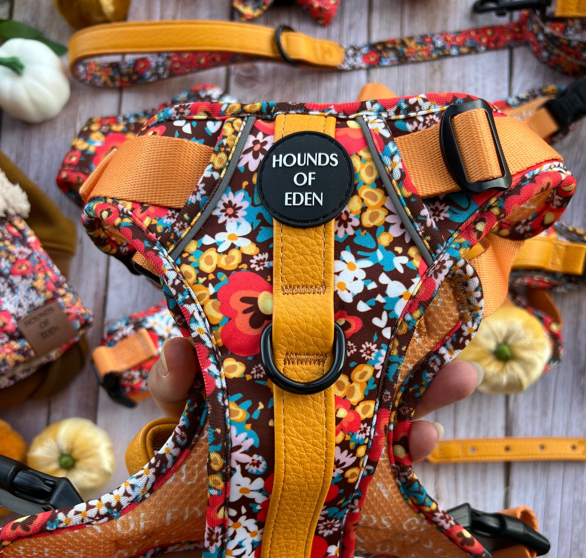 Retro Bloom Dog Supaw Strong Lite™ Harness (XS-XL) - The Bark Market