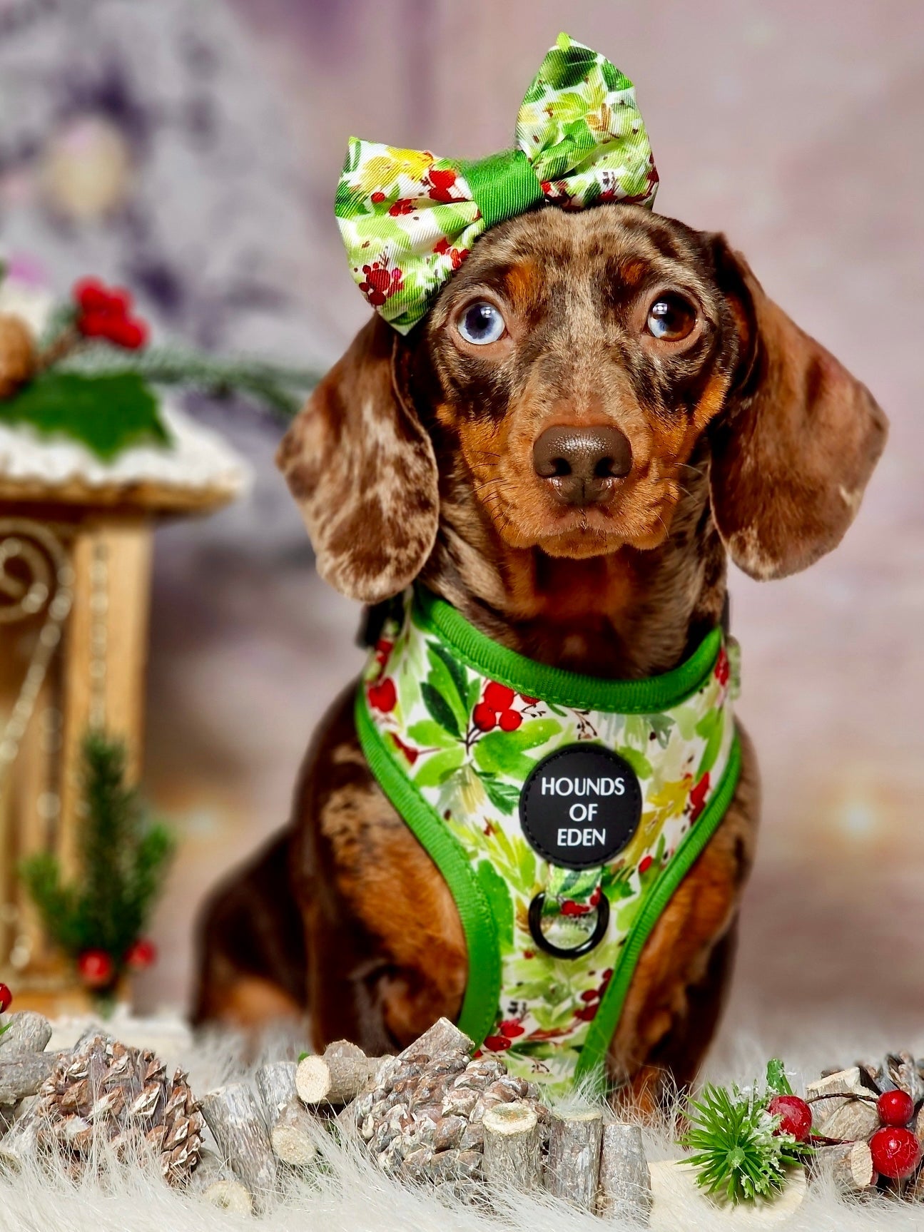 Winter Spruce & Berries Design Dog Bow Tie - The Bark Market