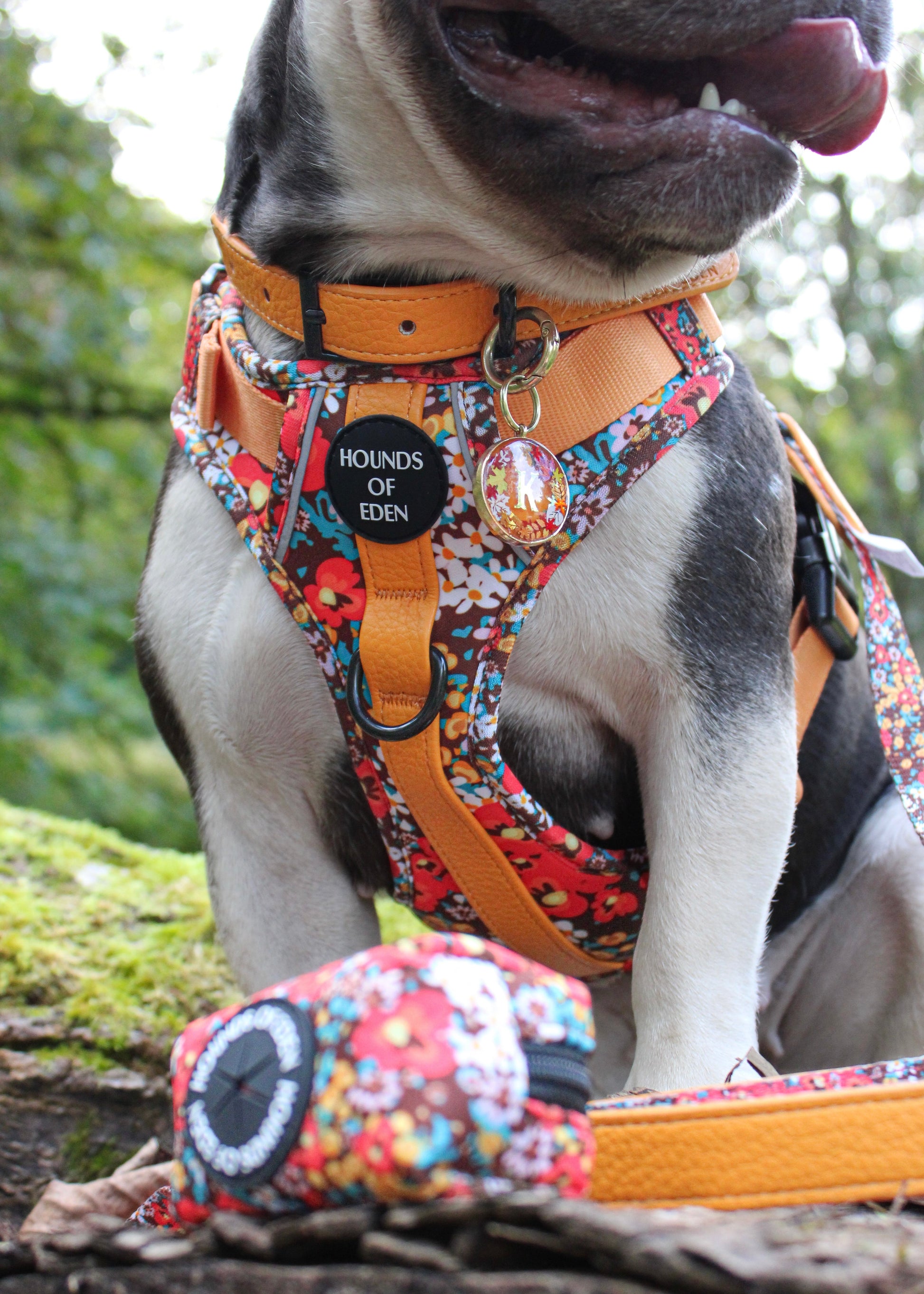 Retro Bloom Leather Dog Collar - The Bark Market