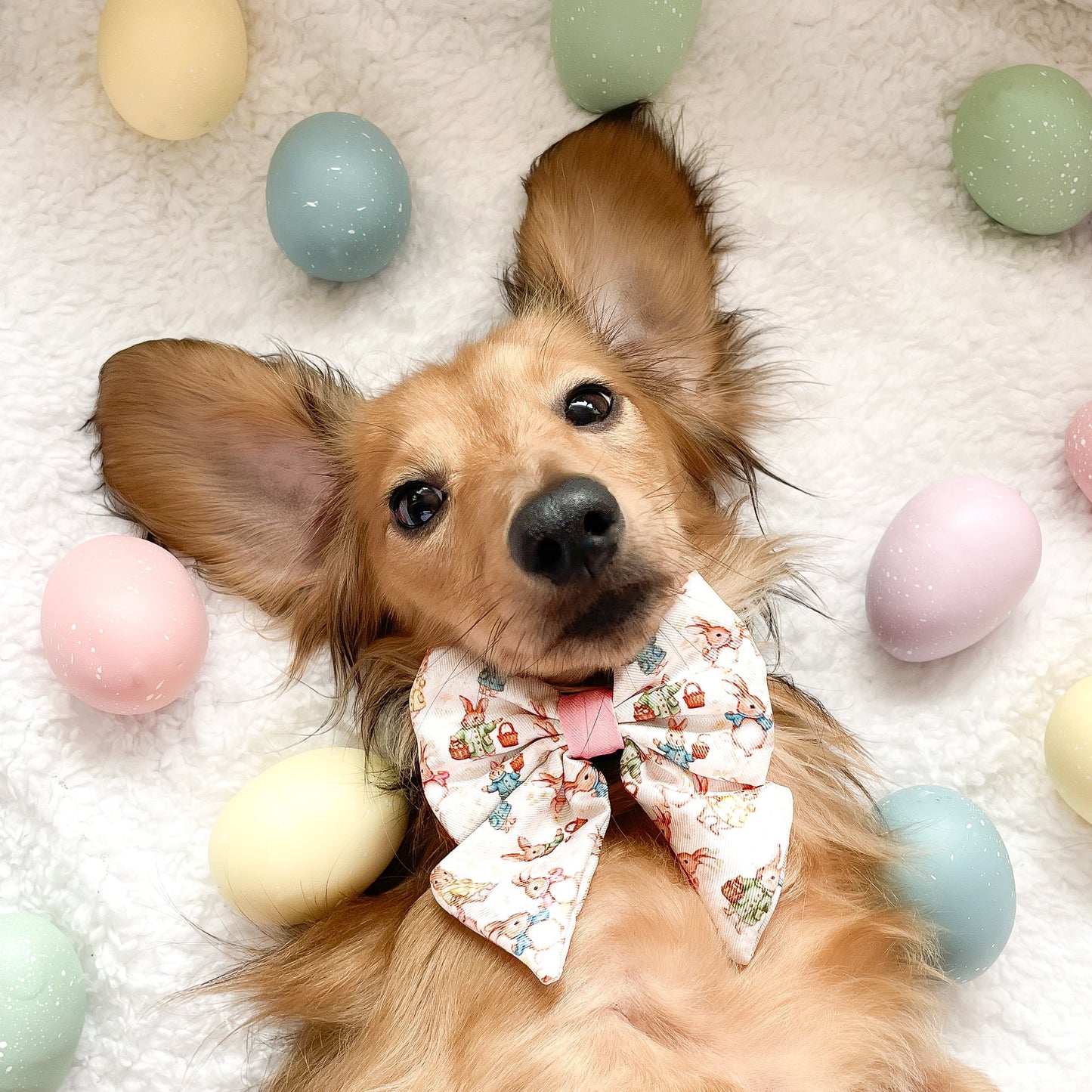 Bunny Tales - Pink, Dog Harness (XXS-XS) - The Bark Market
