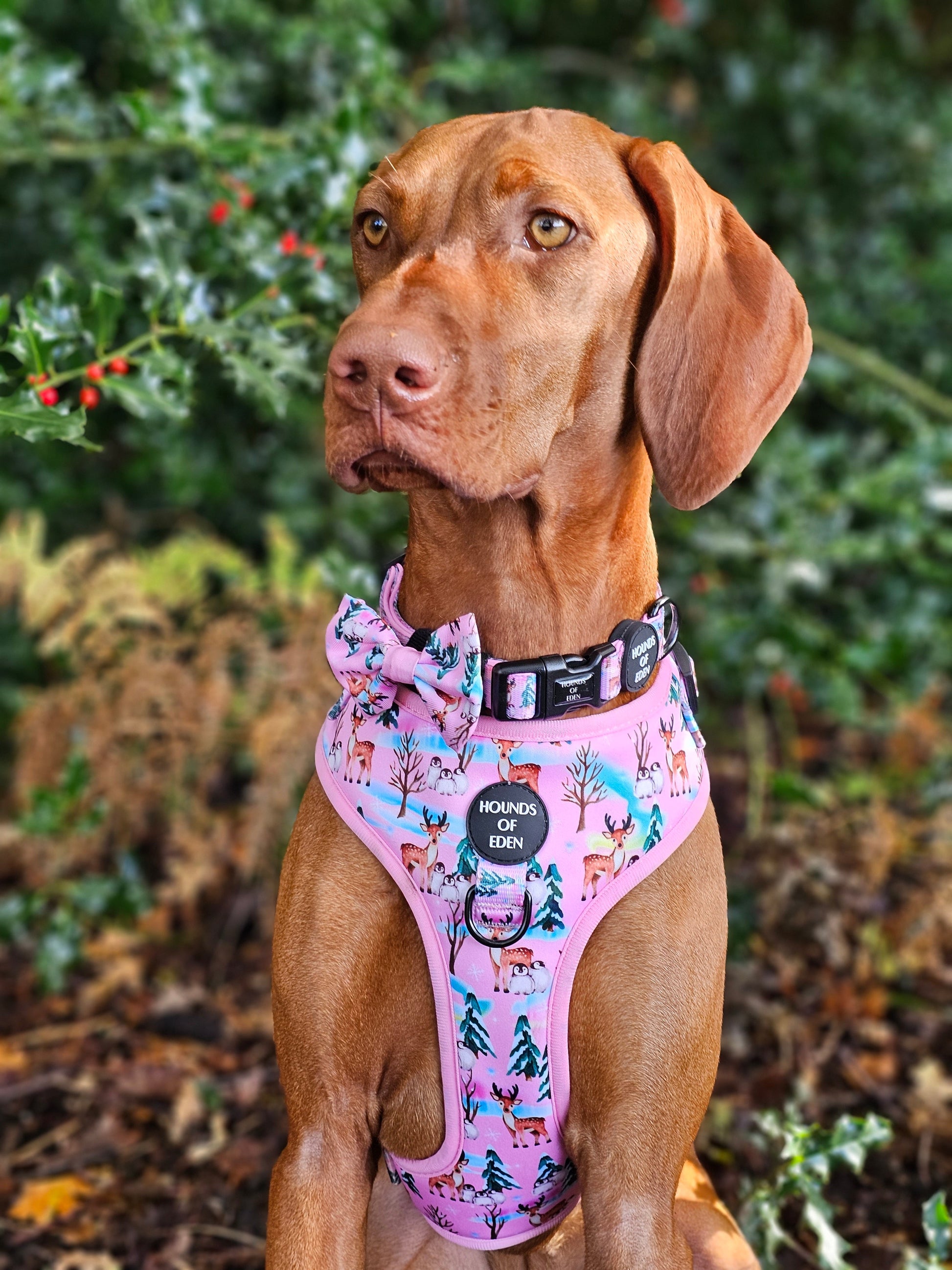 Aurora Nights - Pink Penguin Design Dog Harness - The Bark Market