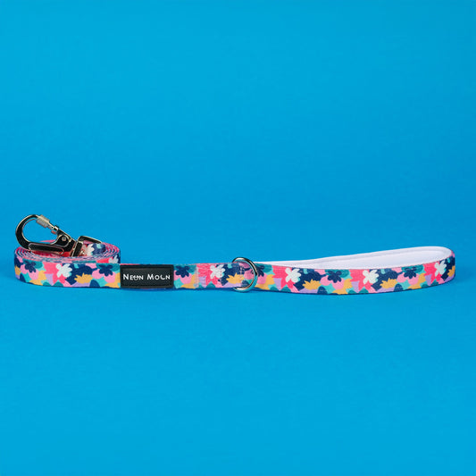 The Luna Lead - The Bark Market