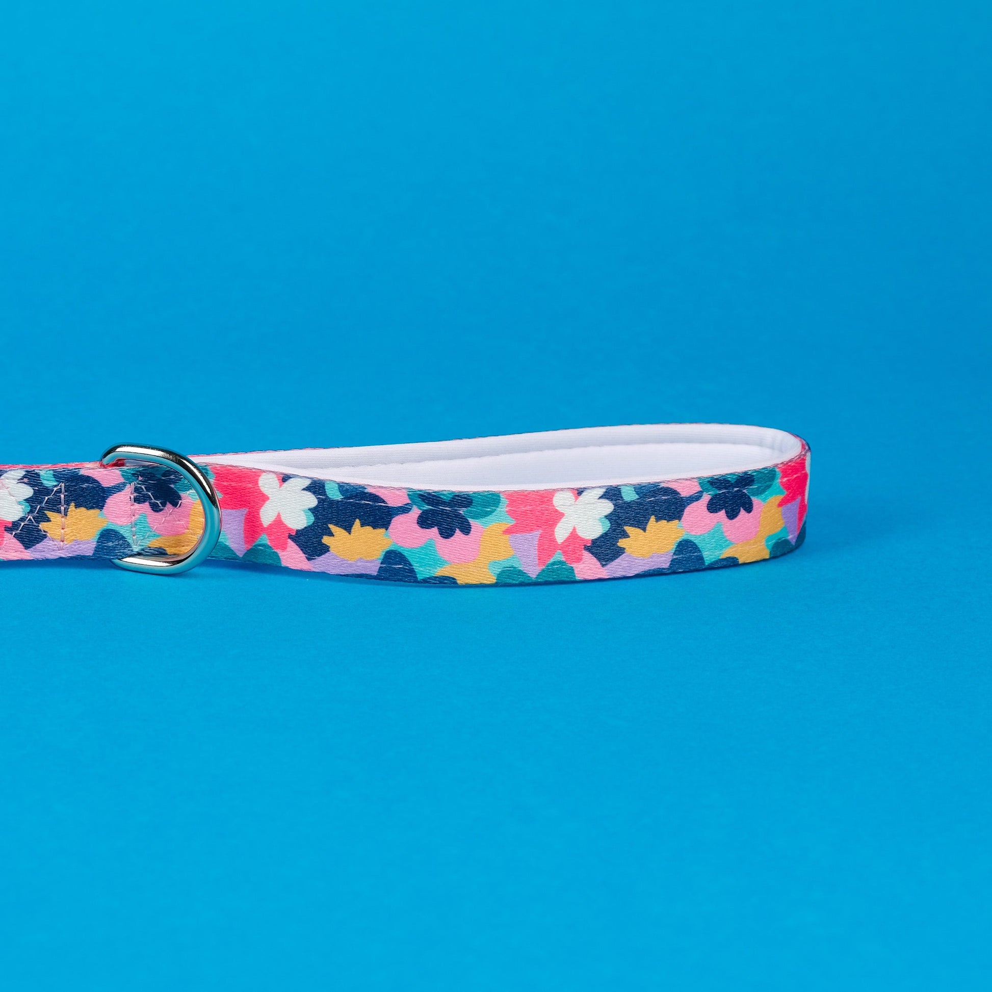 The Luna Lead - The Bark Market