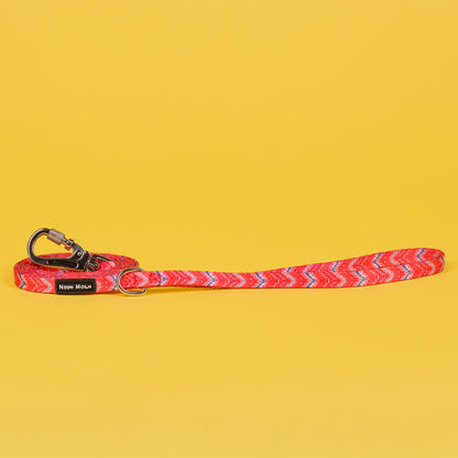 The Tod Lead - The Bark Market