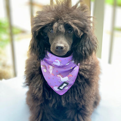 Daydreams and Unicorns Cooling Bandana - The Bark Market