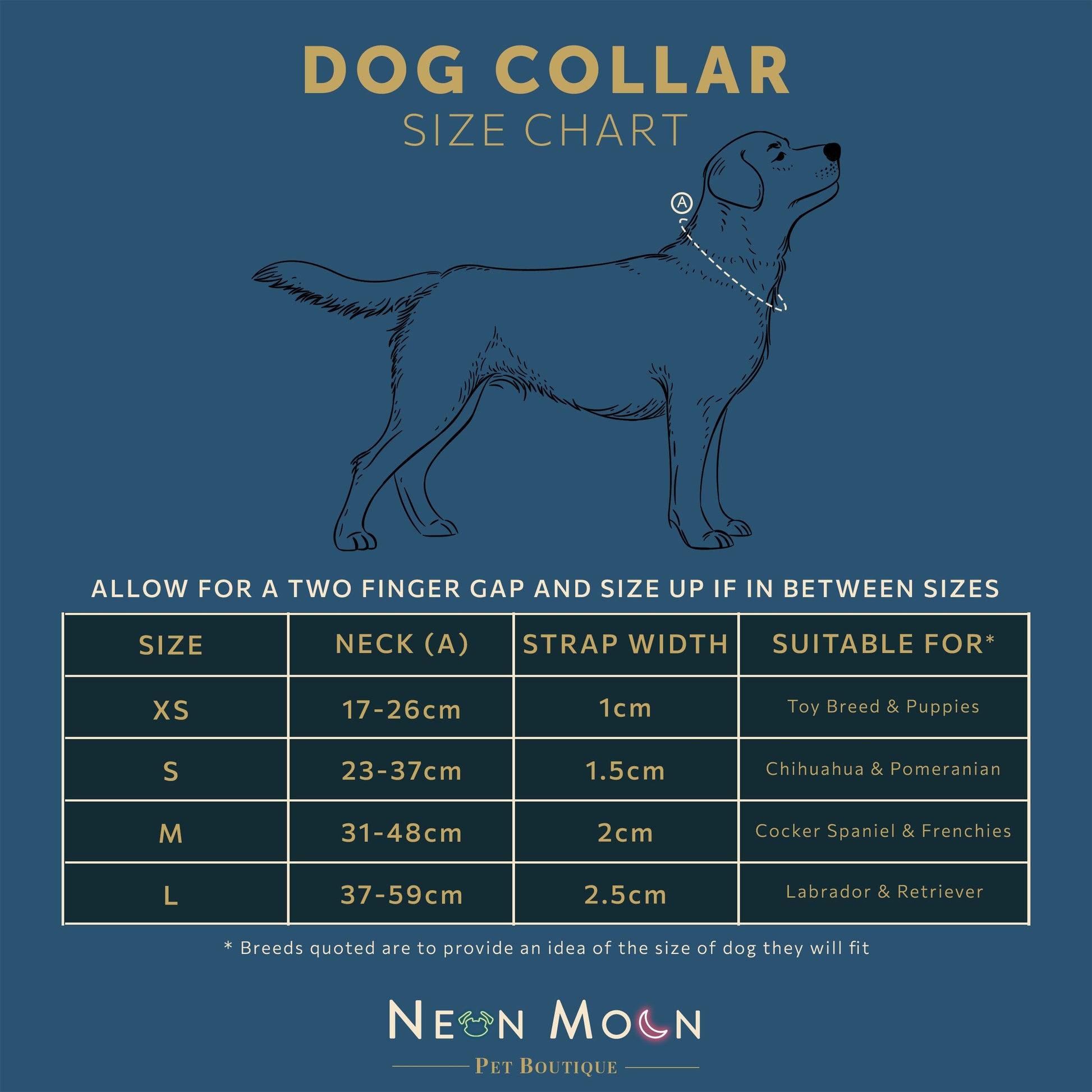 The Luna Dog Collar - The Bark Market
