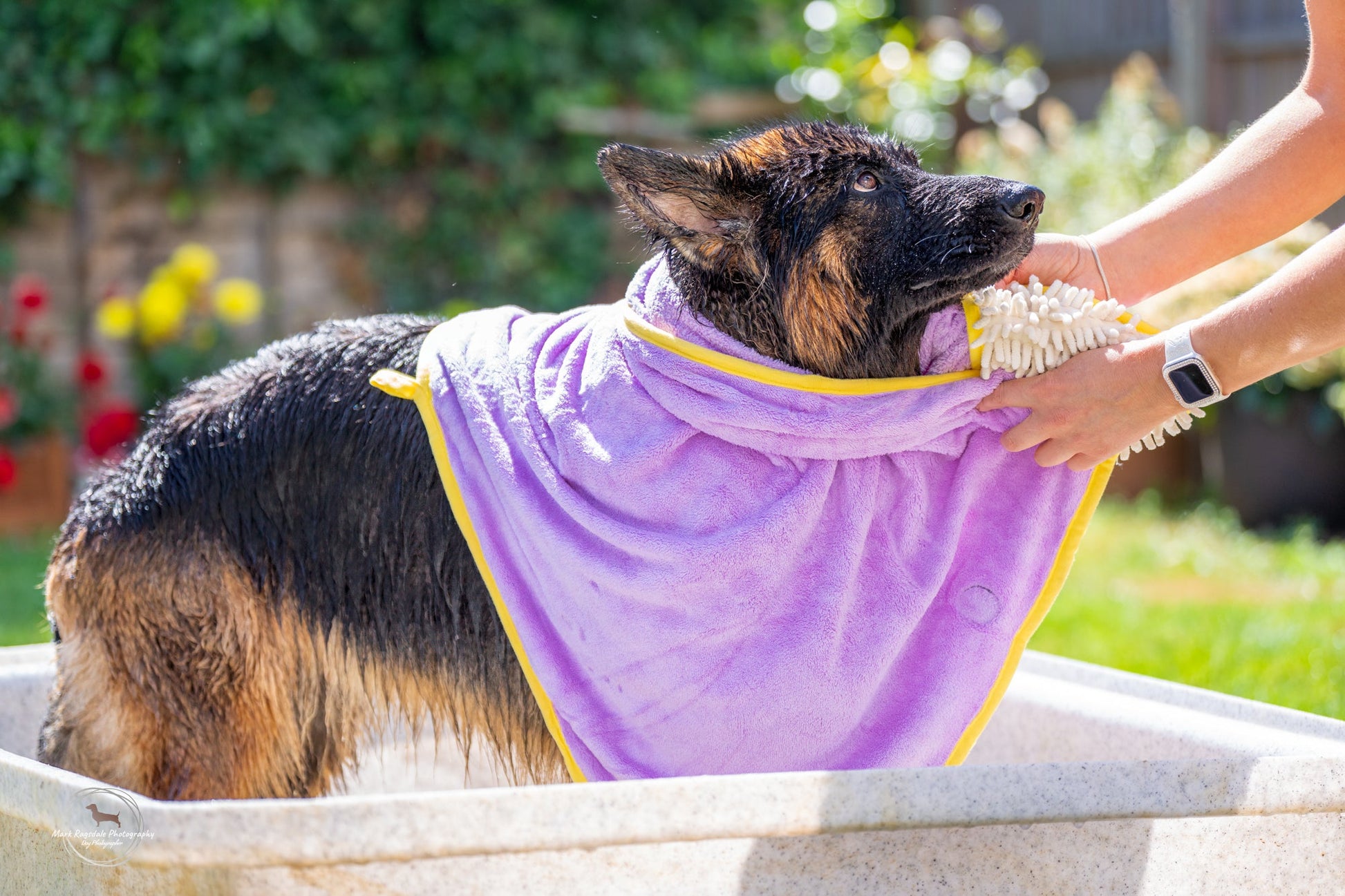Daisy Dreams - Dog Towel + Carry Bag - The Bark Market