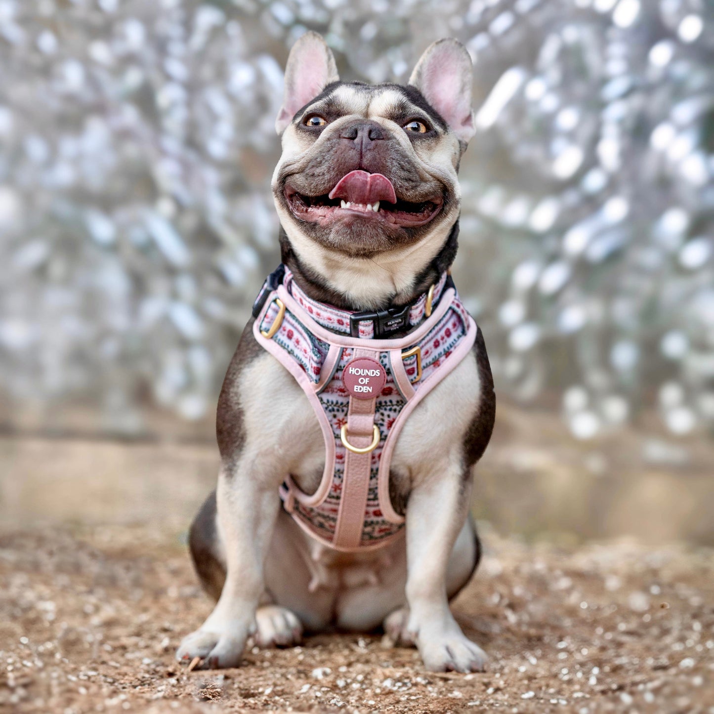 Bella's Jumper Supaw Strong Lite™ Dog Harness (XS-XL) - The Bark Market