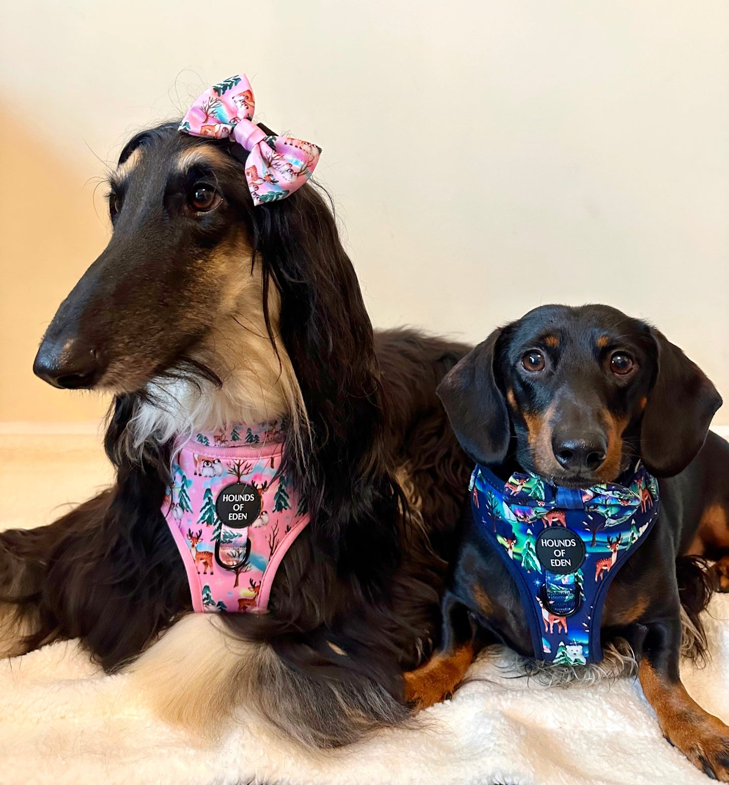 Aurora Nights - Pink Penguin Design Dog Harness - The Bark Market