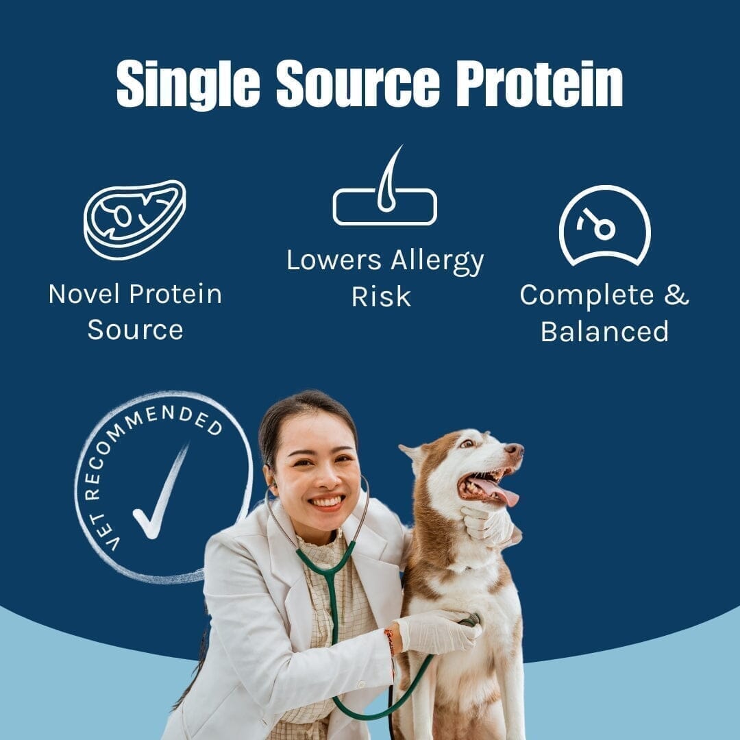 Pure Turkey Wet Dog Food (Texas)