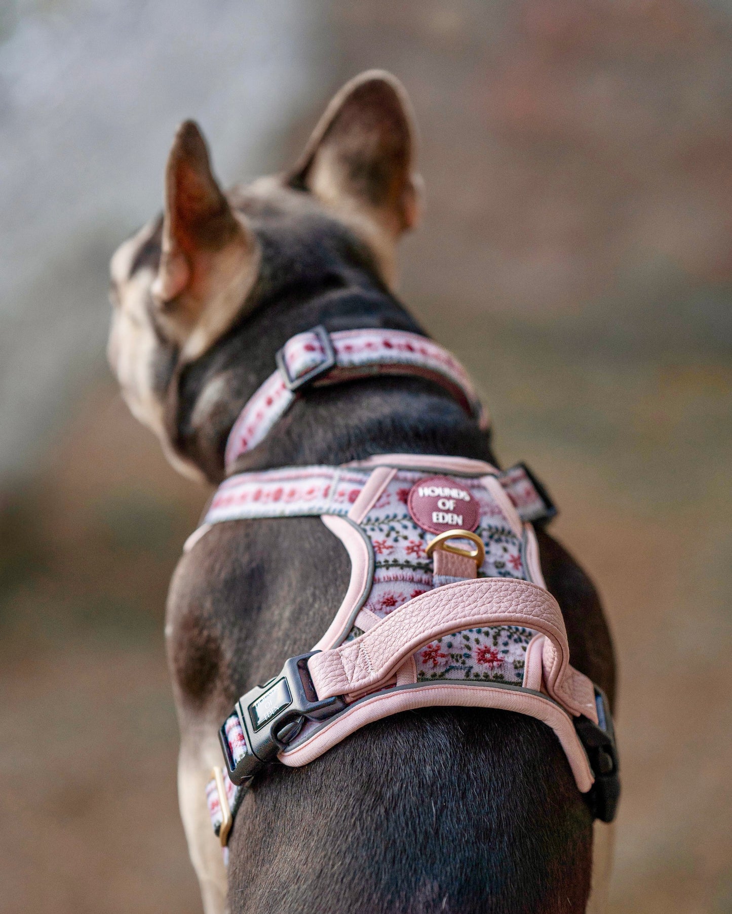 Bella's Jumper Supaw Strong Lite™ Dog Harness (XS-XL) - The Bark Market