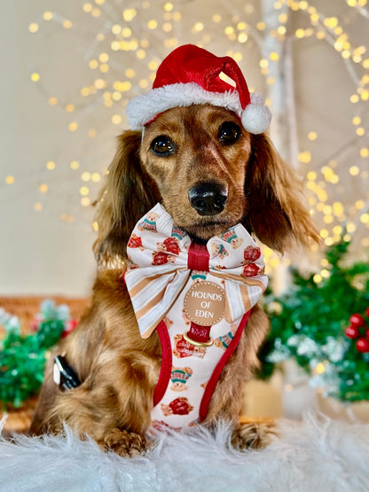 Harrold + Hattie Bears Dog Harness (XXS-XS) - The Bark Market