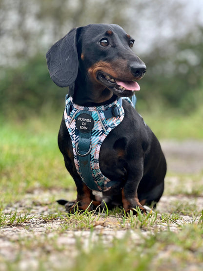 Tealing Smart Dog Supaw Strong Lite™ Harness (XS-XL) - The Bark Market