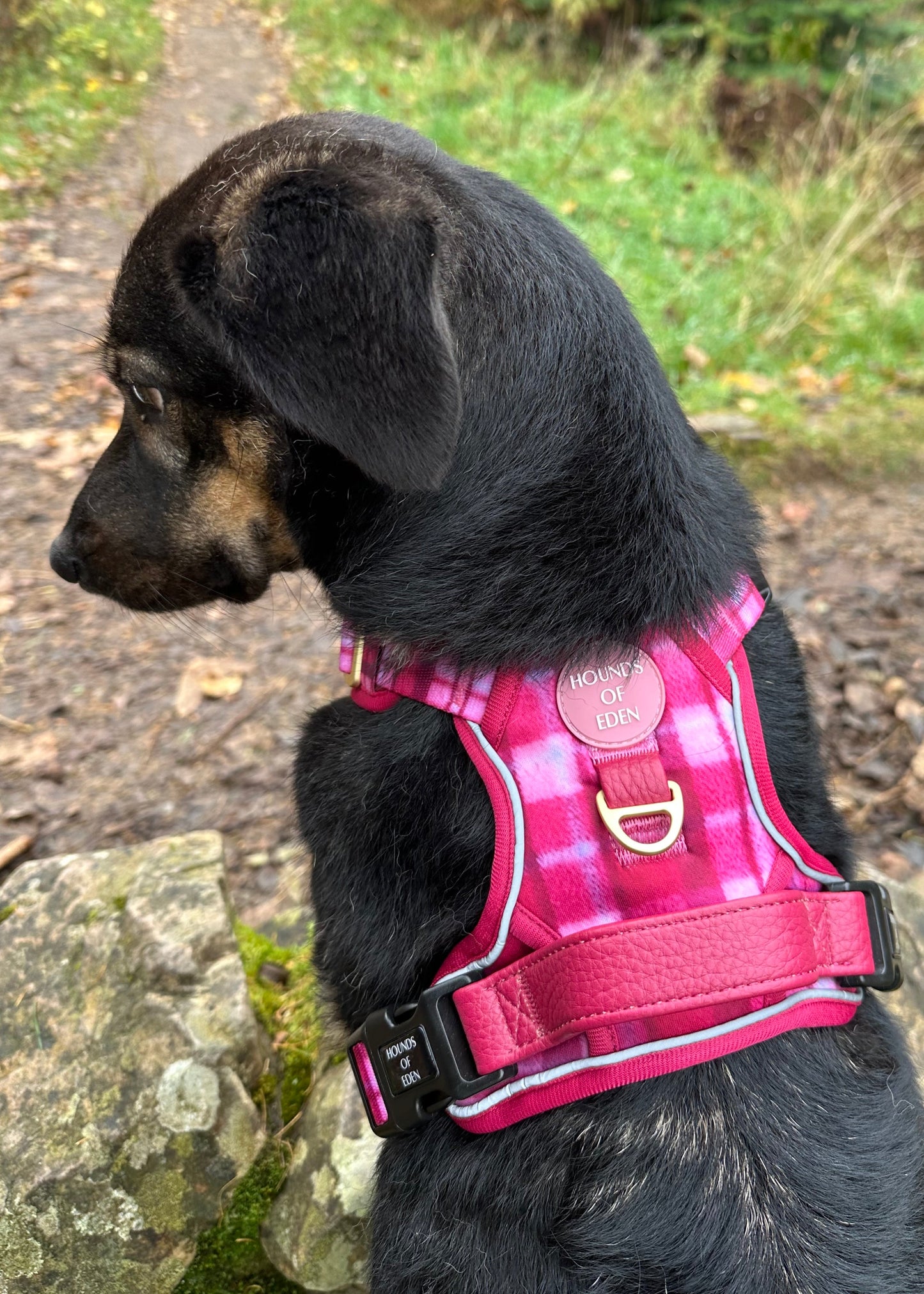 Rose Berry Plaid - Supaw Strong™ Lite Dog Harness (XS-XL) - The Bark Market