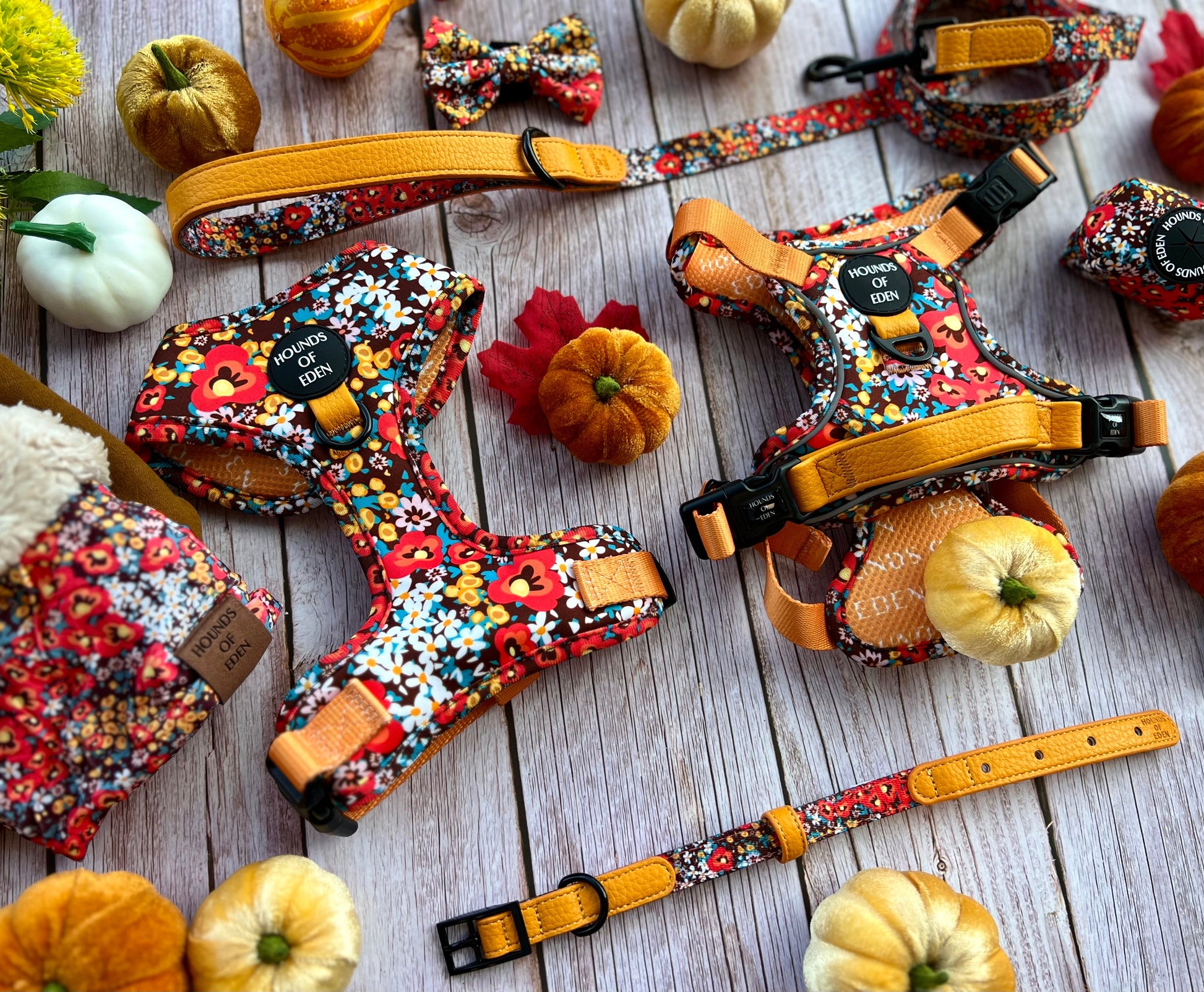 Retro Bloom Dog Supaw Strong Lite™ Harness (XS-XL) - The Bark Market