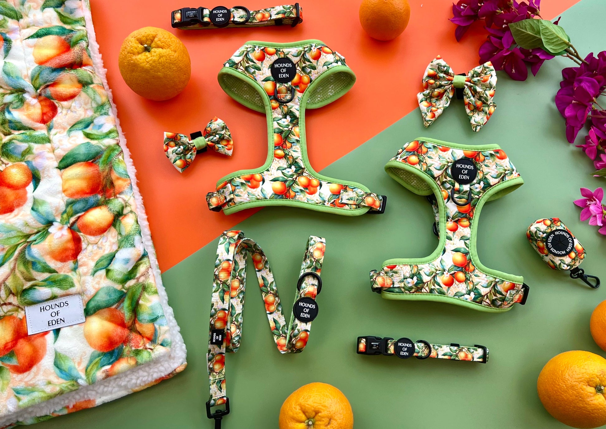 Simply the Zest - Oranges Dog Bow Tie - The Bark Market