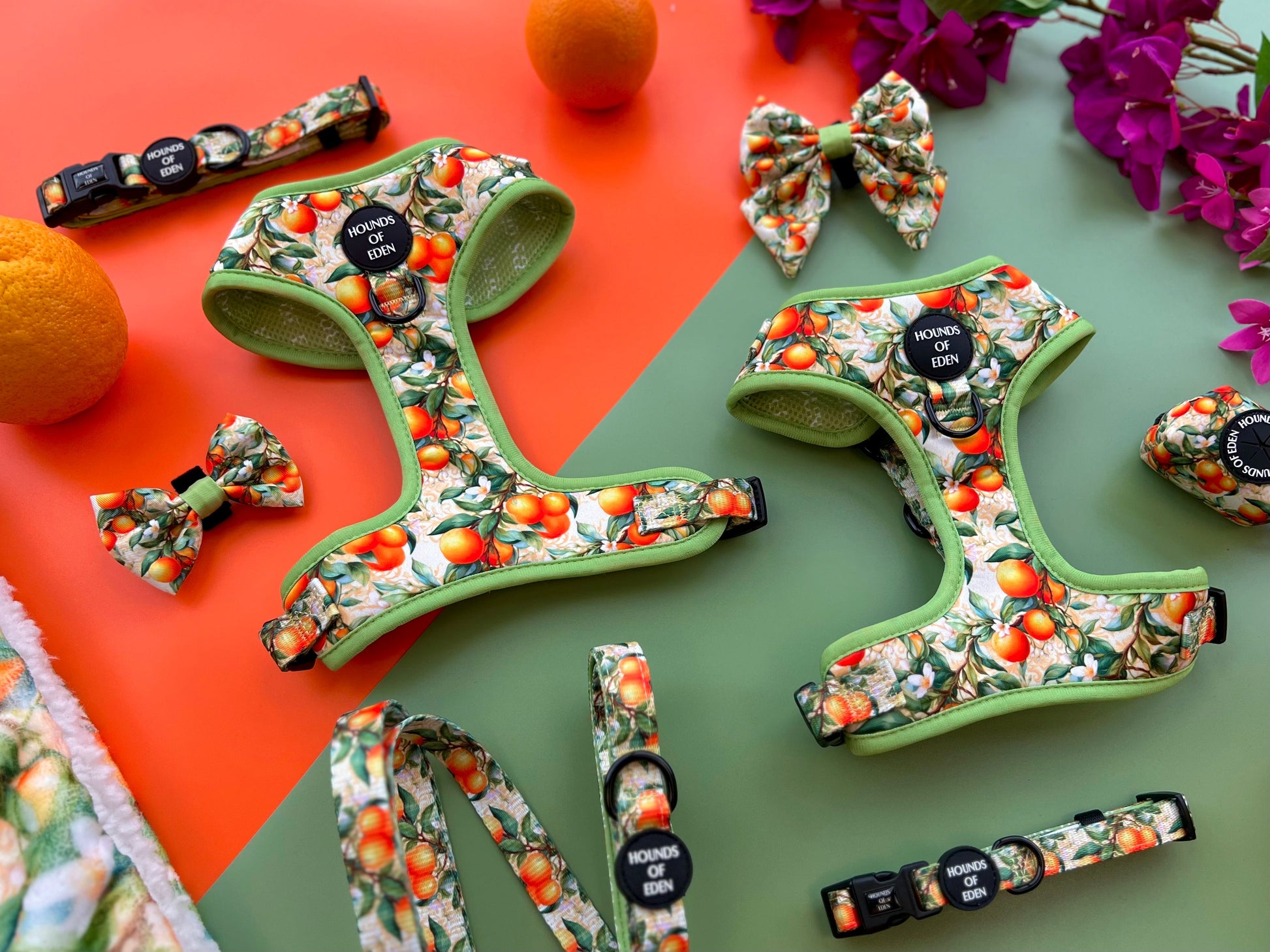 Simply the Zest - Oranges Dog Harness - The Bark Market