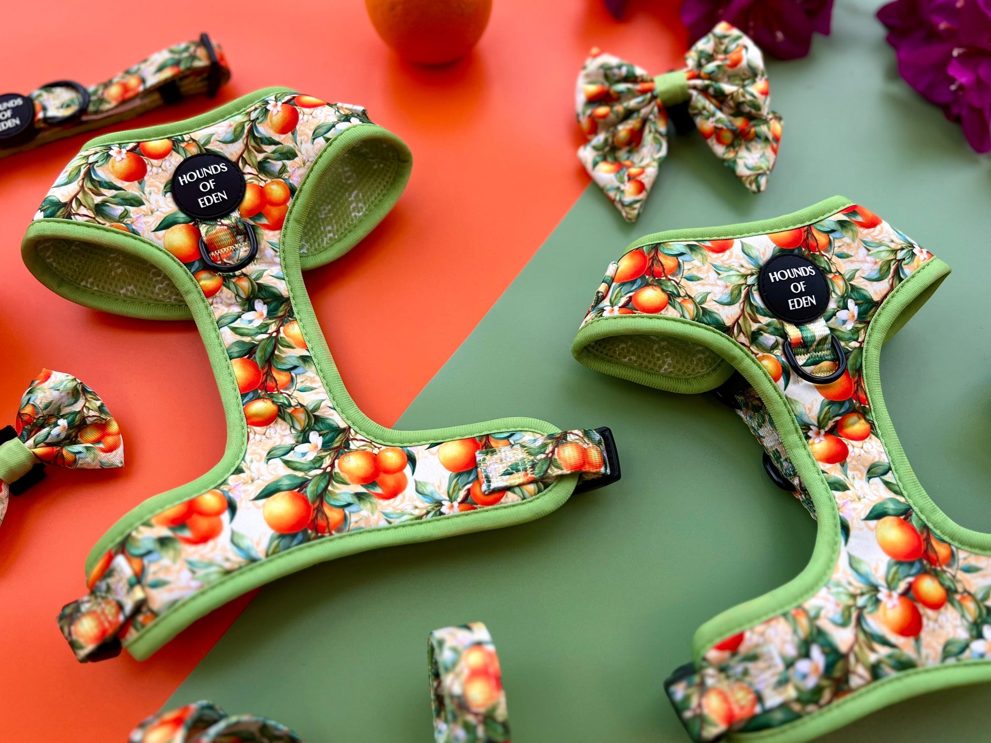 Simply the Zest - Oranges Dog Bow Tie - The Bark Market