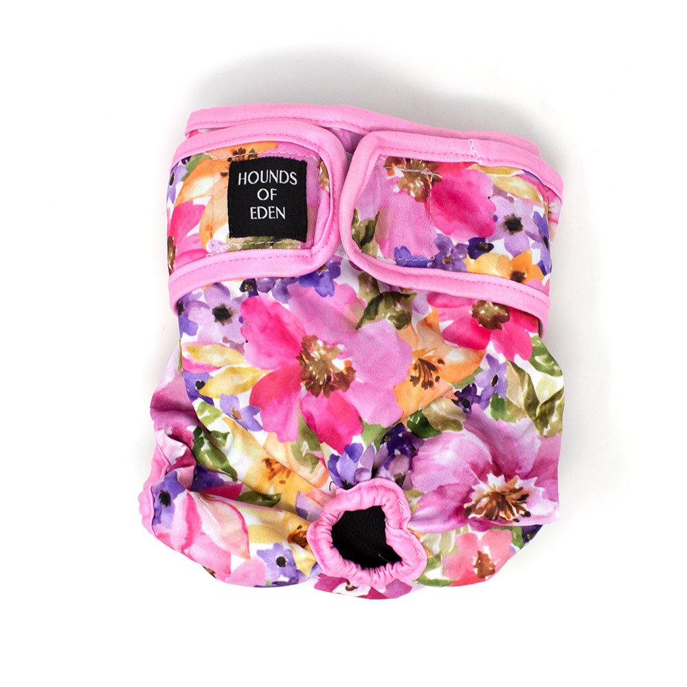 'Florentina' - Dog Season Hygiene Panties - The Bark Market