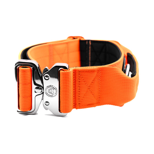 5cm Nylon BTactical™ Collar | Citrus Orange - The Bark Market