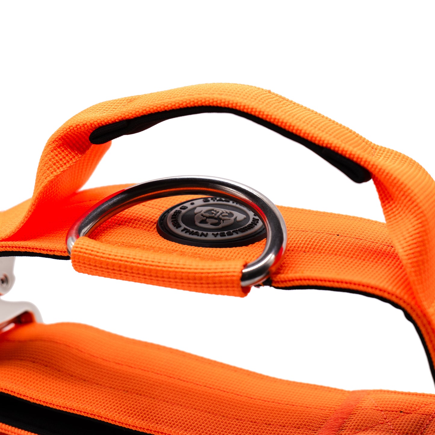 5cm Nylon BTactical™ Collar | Citrus Orange - The Bark Market