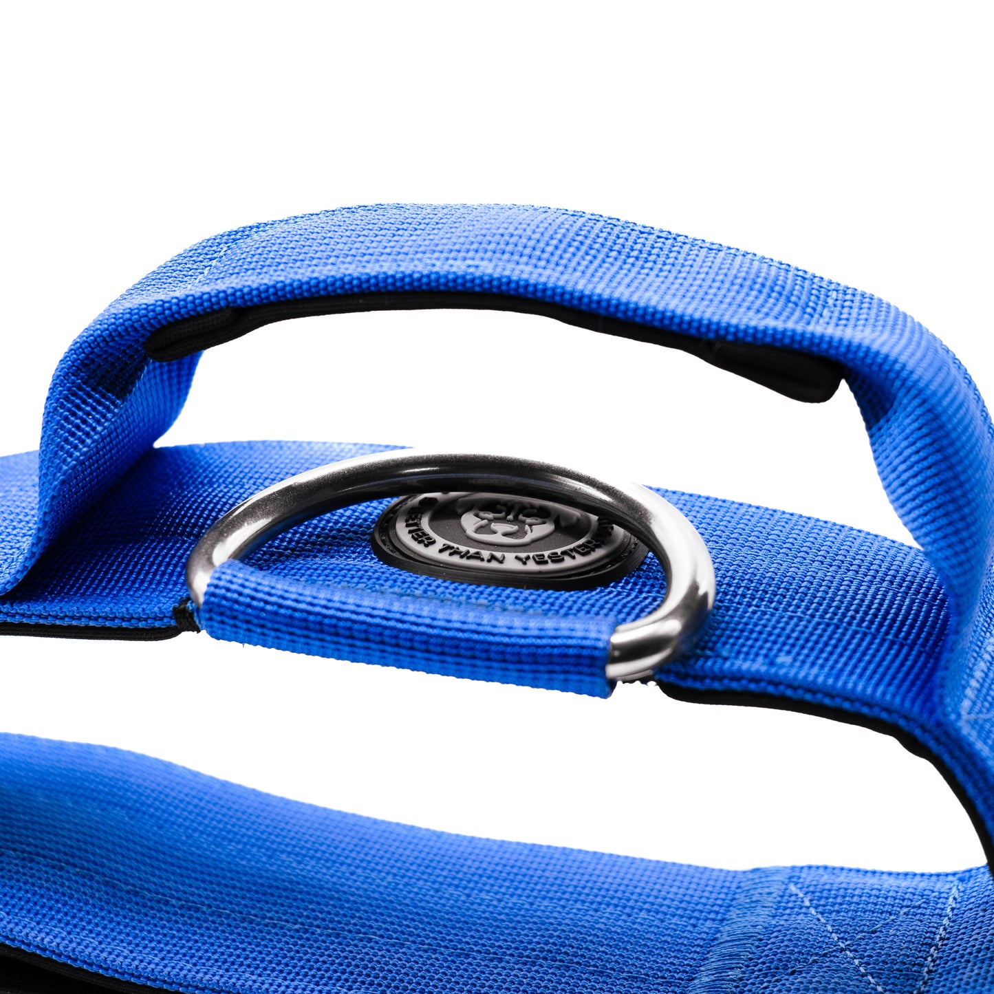 5cm Nylon BTactical™ Collar | Royal Blue - The Bark Market