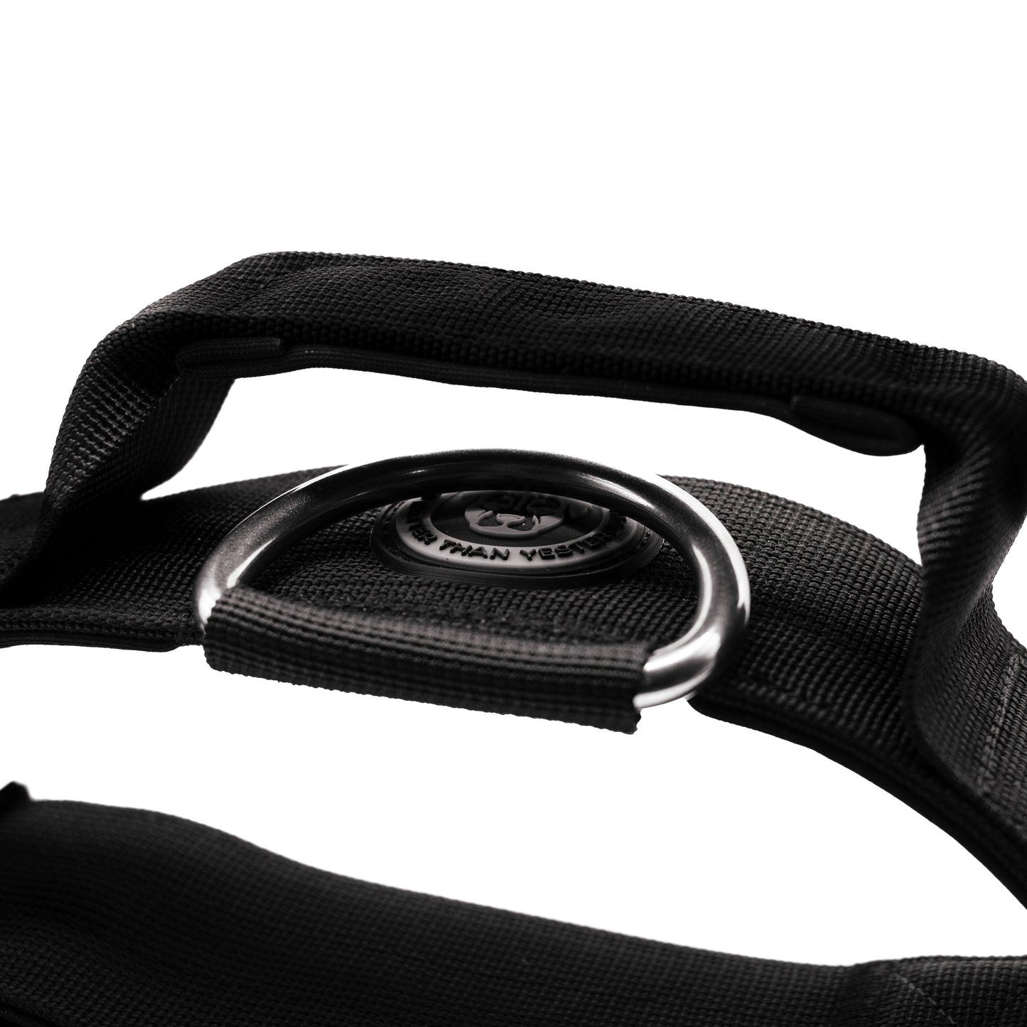 5cm Nylon BTactical™ Collar | Midnight Black - The Bark Market
