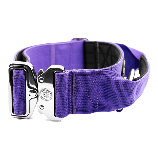 5cm Nylon BTactical™ Collar | Lavender Purple - The Bark Market