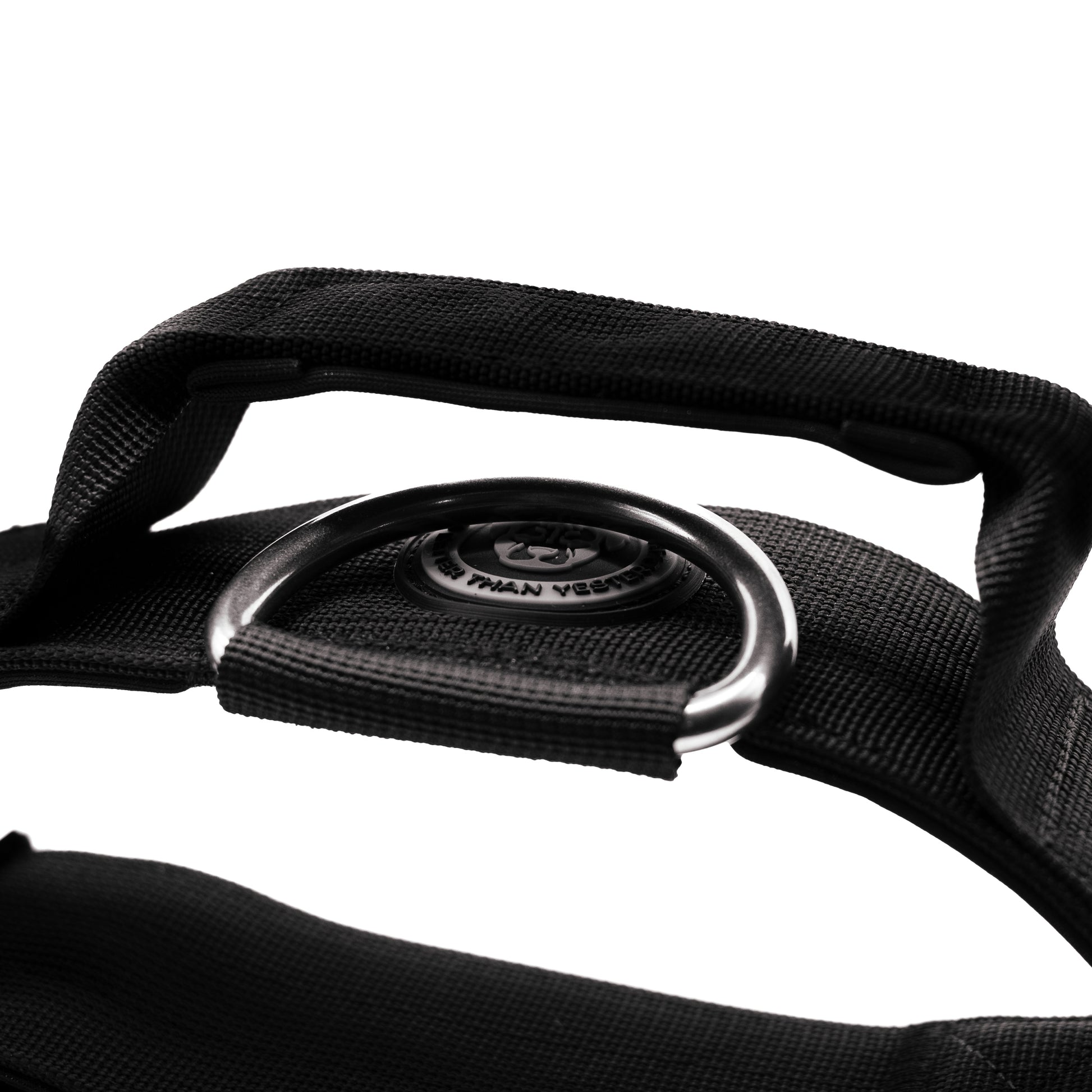 5cm Nylon BTactical™ Collar | Midnight Black - NEW - The Bark Market