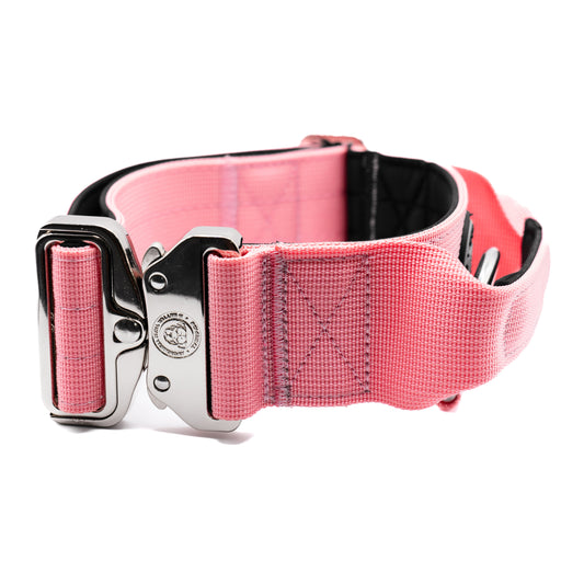 5cm Nylon BTactical™ Collar | Pretty Pink - The Bark Market