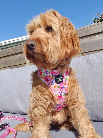 'Florentina' - Floral Dog Collar - The Bark Market